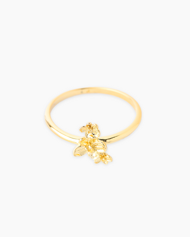 Helena Gold Ring | Penny Pairs