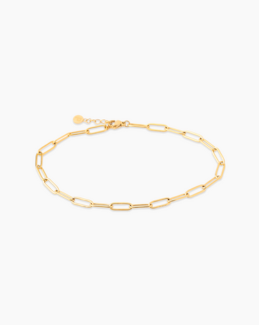 Micah Gold Anklet | Penny Pairs