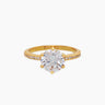 Elisa Gold Ring | Penny Pairs