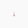 Birthstone Charm | Penny Pairs