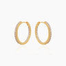 Janet Gold Hoops | Penny Pairs