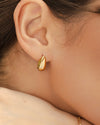 Debby Gold Studs